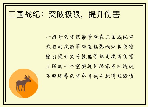 三国战纪：突破极限，提升伤害